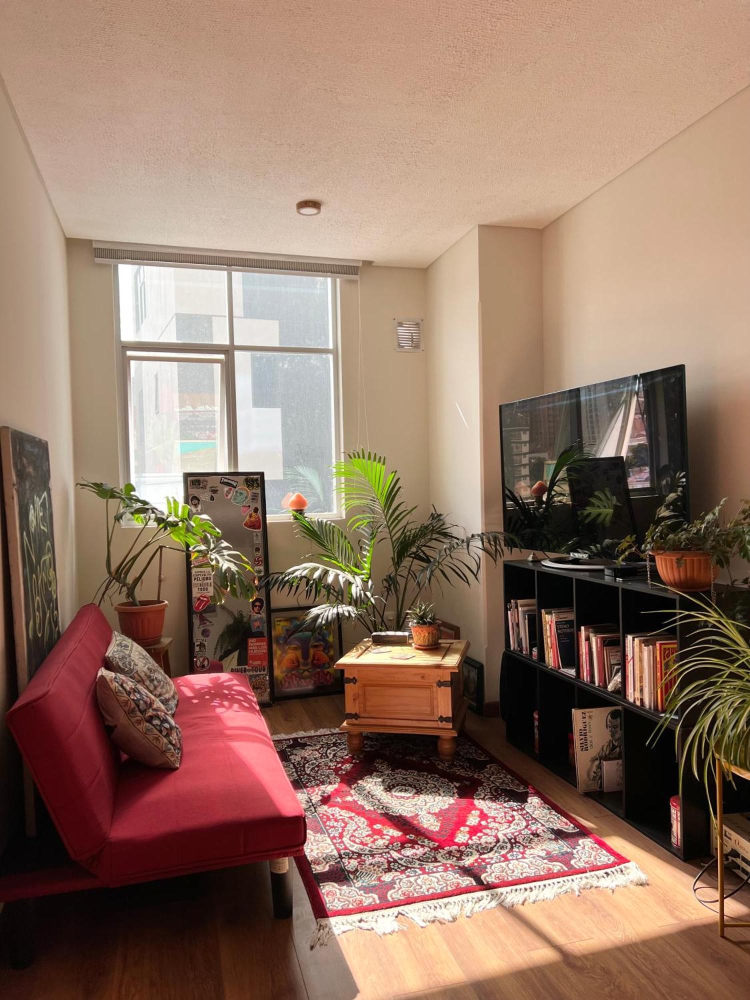 Soleado Y Hermoso Departamento Apartamento
